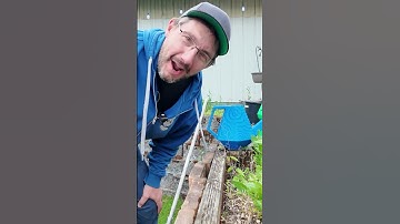 MASSIVE 3D Printed Watering Can! #3dprinting