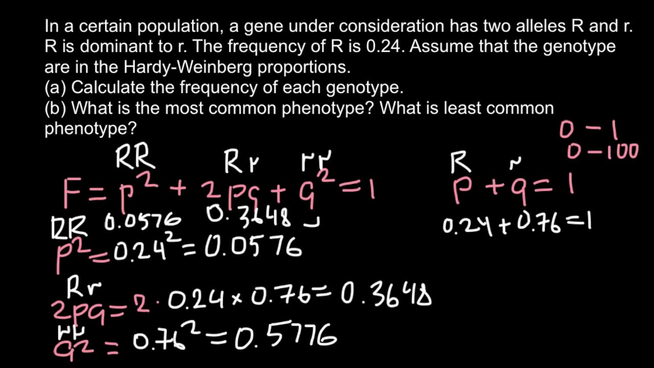 How to solve Hardy-Weinberg problems in few minutes - YouTube