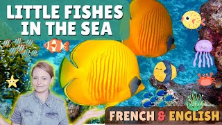 Little Fishes in the Sea/Les Petits Poissons Dans lEau - French/English Lullaby | Comptine Anglais