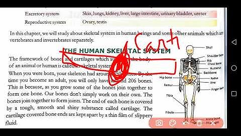 #Class 6 science chapter 10 ( Animals : Forms and functions) part 1