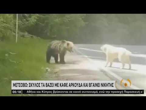 Βίντεο: Ο Alexey Leonov πήρε συνέντευξη από όλους τους γήινους και έσκαψε όλους τους πλανήτες του ηλιακού συστήματος με ένα φτυάρι και συνειδητοποίησε ότι ο Χριστός είναι εξωγήινος