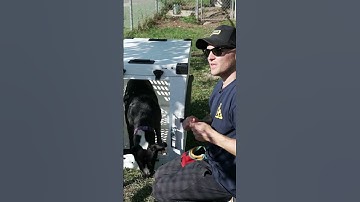 Crate training TIPS - TOM DAVIS