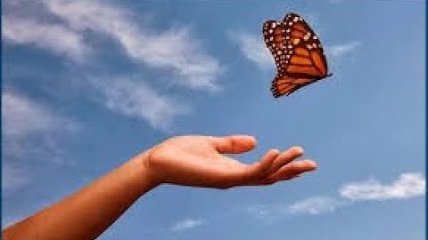 Release Planning in Scrum