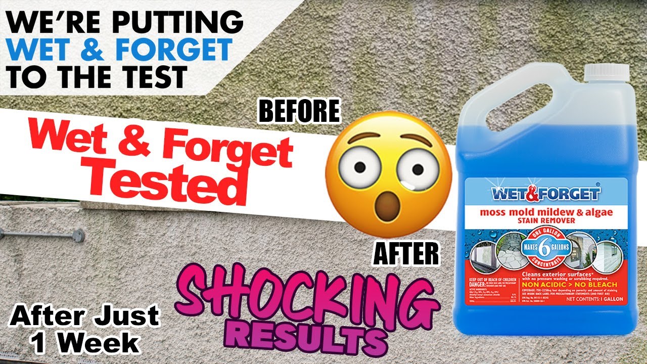 Wet and Forget 0.75-Gallon Mold and Mildew Stain Remover Concentrated  Outdoor Cleaner (2-Pack) in the Outdoor Cleaners department at