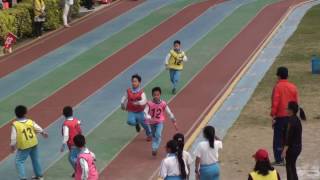 1051224 fdes 3g 2