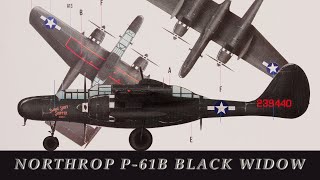 P-61B BLACK WIDOW in 1/48 scale by HOBBY BOSS