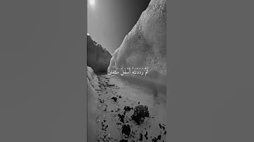 والتين والزيتون تلاوة خاشعة تريح القلب والسمع ❤️ #quran #راحة_نفسية