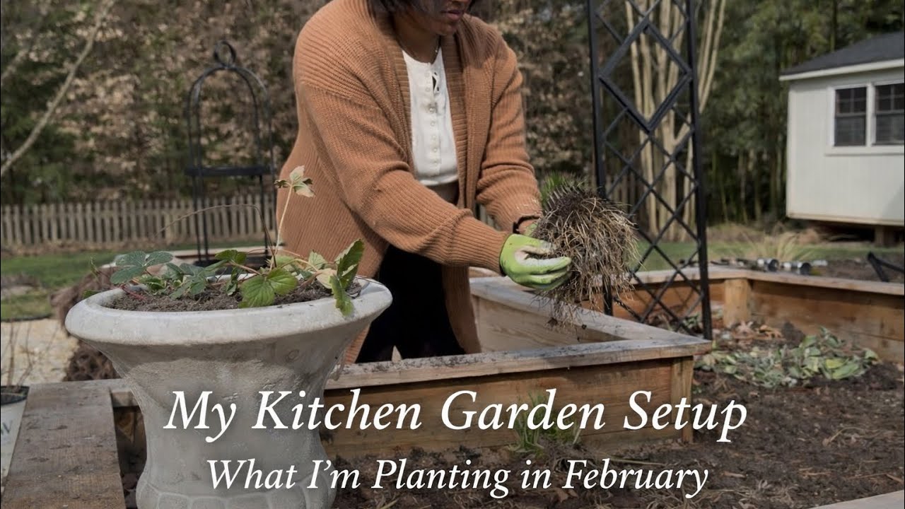 How to Setup a Kitchen Garden | What I Am Planting in February for Zone 8a