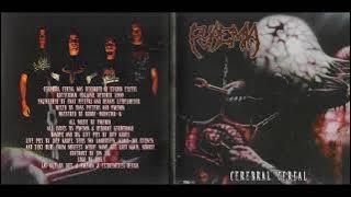 Pyaemia (NL) - Cerebral Cereal (Full Album 2001)