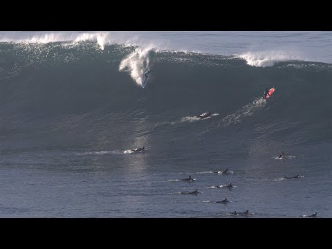 MASSIVE surf pounds San Diego