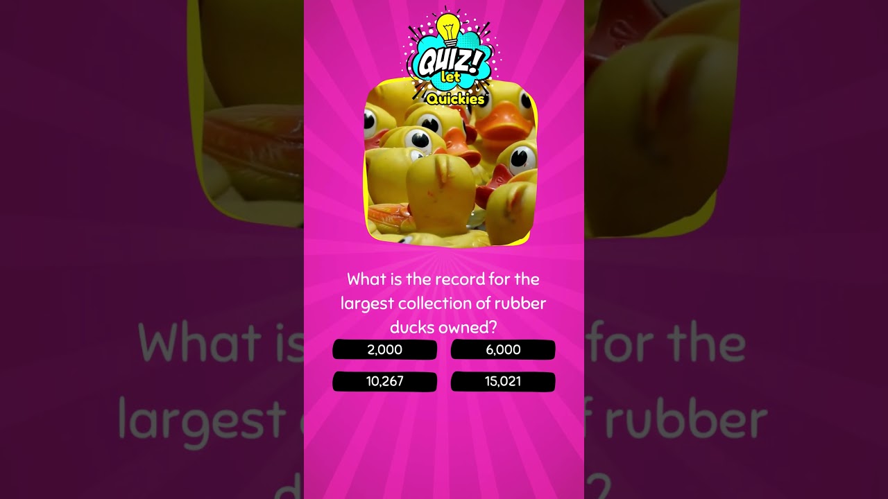 🦆 Quirky Collections: Dive into the World of Rubber Duck Records! 🌎🛁 