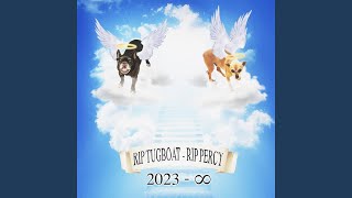 they just put my dog down (RIP TUGBOAT RIP PERCY)