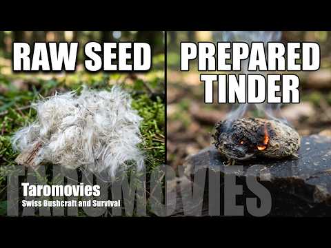 How to prepare Thistle Seed Tinder for Flint and Steel / Bushcraft-Survival / 4K