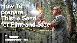 How to prepare Thistle Seed Tinder for Flint and Steel / Bushcraft-Survival / 4K