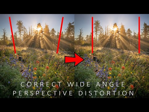 Correct Wide-Angle Perspective Distortion In Photoshop