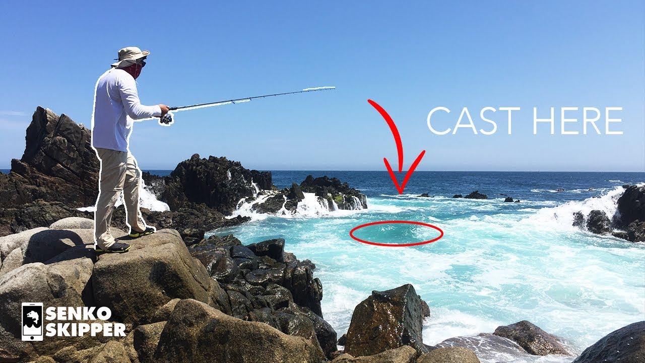 SET THE HOOK! Rock Fishing on a Cliff in Mexico 