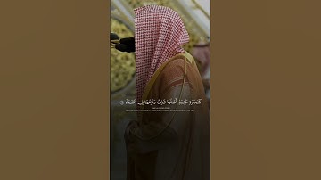 #تلاوة_خاشعة تفيض جمالا من #سورة_إبراهيم للشيخ د. #عبدالله_القرافي