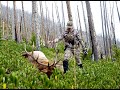 2018 Montana Archery Elk Hunt - Full Movie