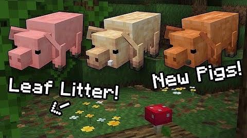 Snapshot 25w02a: New Pigs, Wildflowers, Leaf Litter
