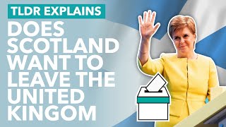 How COVID & Brexit Fuelled Calls for an Independent Scotland - TLDR News