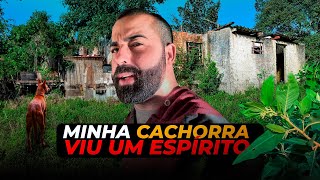 LEVEI A RAPOSA NA INVESTIGAÇÃO E OLHA O QUE ACONTECEU COM ELA NA CASA ASSOMBRADA!