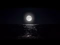 1-Hour of Calming Music for Deep Sleep, Study, and Stress Relief 🌙 | Relaxing Background Music