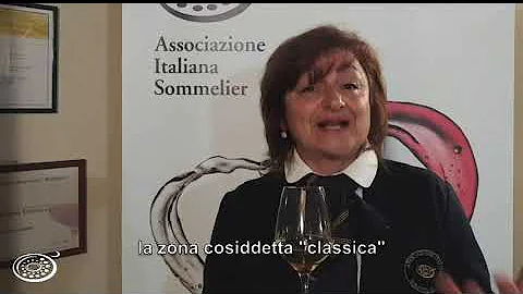 Che tipo di vino e il Pignoletto?