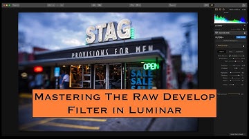 Mastering the Raw Develop Filter in Luminar (Adjust tab)
