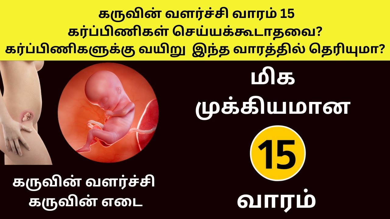 15 Week Of Pregnancy In Tamil 15 week Pregnancy 15 Weeks Pregnant 15-week-of-pregnancy-in-tamil-15-week-pregnancy-15-weeks-pregnant