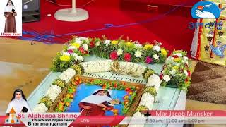 Live ||  St. Alphonsa Shrine || Bharananganam  || Atmadars han Tv