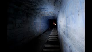 The Magnus Archives Fan Statement: Shane Alexander Madej - Noises Information