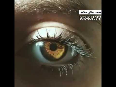 سباني صاحبي بالحاظ عينه من نوادر الفنان ميحد حمد عود قديم 