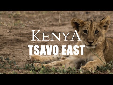 KENYA - Tsavo East National Park