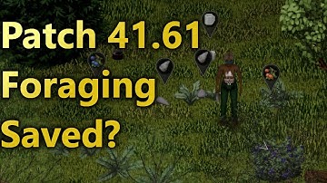 Beta Build 41.61 Saved Foraging?