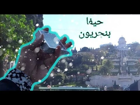 لفيت حيفا والناس انصدمت عبود زعروره