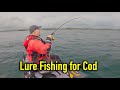 Awesome lure session  cod after cod at beautiful beadnell  kayak sea fishing uk