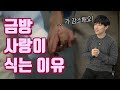 사랑에도 유통기한이 있다 YTN 사이언스 사랑에도 유통기한이 있다 YTN 사이언스