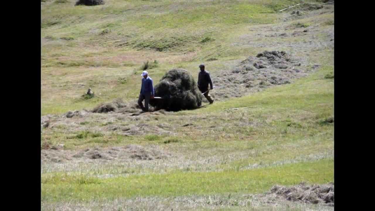 AKÇİL KÖYÜM E.ALTINDAŞ