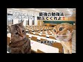 【猫ミーム】3日で定期テスト450点取る最強勉強法【総集編】
