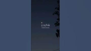 سورة الرحمان 🍃 #المصحف