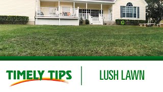 Timely Tips for a Lush Lawn