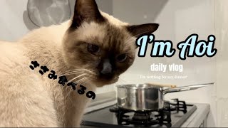 【シャム猫】ささみが茹で上がるのを見守る猫🐈 by シャム猫あおい 350 views 7 months ago 5 minutes, 3 seconds