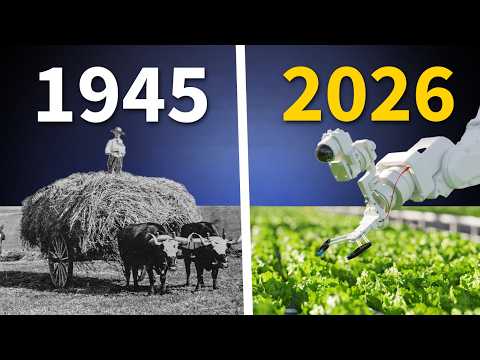 How European Farms Became the Best in the World