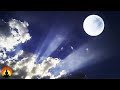 🔴 Sleep Music 24/7, Relaxing Music, Calming Music, Meditation Music, Spa Music, Study Music, Sleep