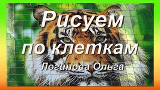 Как нарисовать по клеточкам тигра. Логинова Ольга.