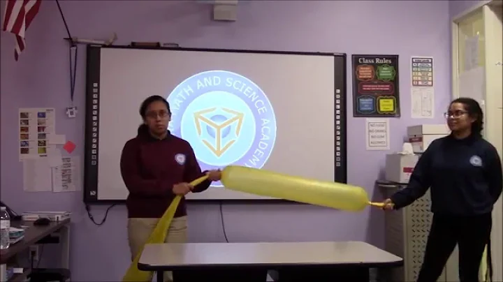 Bernoulli's Wind Bag Freisy Aguialr