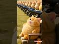Cats & pigs dress as kings for battle! Funny, cute, royal fun for kids! 🐱👑🐷⚔️ #shorts