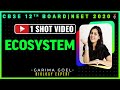 Ecosystem Class 12 in One Shot | CBSE 12th Board Exam 2020 Preparation | 12th Biology | Garima Goel