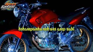 Story wa tiger merah candytone red