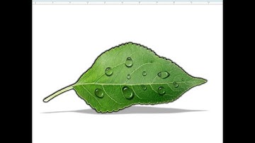 3D Water Drop Effect: CorelDRAW Tutorial